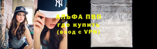 индика Вязьма