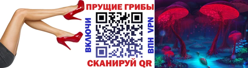 Купить где  Чусовой  Псилоцибиновые грибы GOLDEN TEACHER 