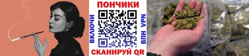 Купить закладки  Чусовой  Канабис план 